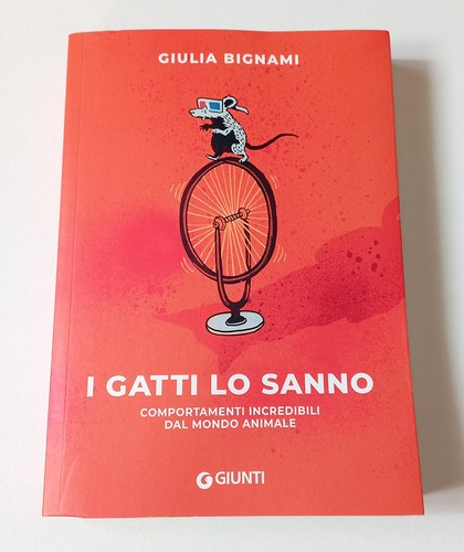 Gatti sanno giulia - lo,