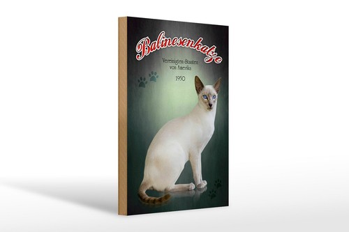 Targa legno gatto 20x30 cm - in,