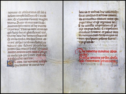 Grafia pergamena foglia - foglia, di