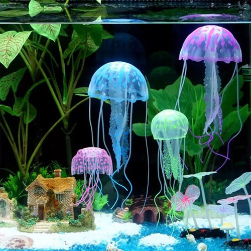 Meduse effetto luminoso - meduse,