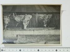 94777 1163 Foto - WW1 1GM