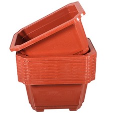  10 Pcs Vasi Bonsai Grandi in