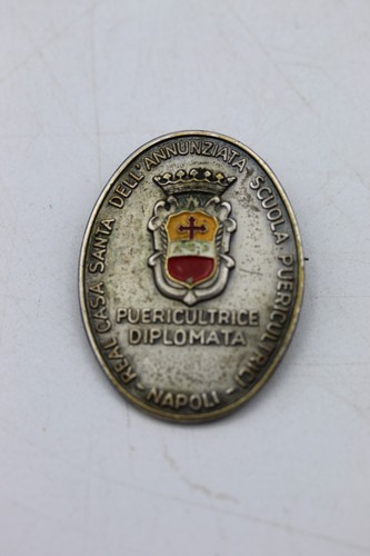 Distintivo pins spilla - distintivo,