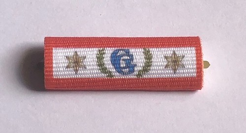 Nastrino guardia giurata bordo - nastrino,