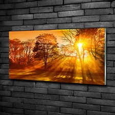 Quadro in vetro acrilico