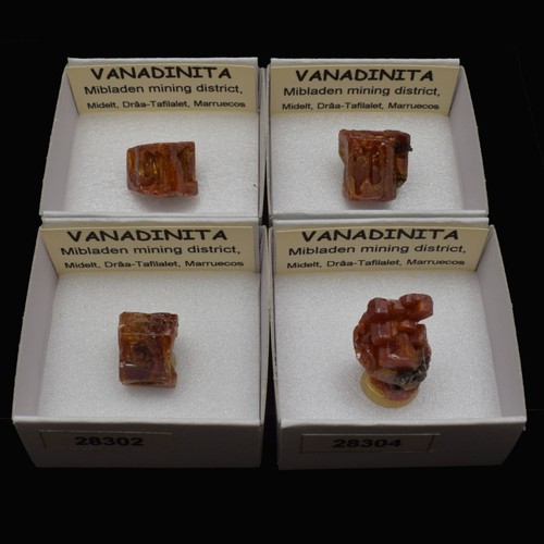 Vanadinita cristal mibladen - cristal, (mibladen