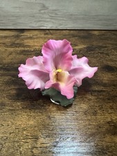 Statuina porcellana orchidea