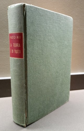 Mario puccini terra - mario,