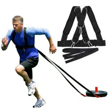 Imbracatura per slitta con