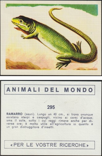 Figurina animali del - animali, 295