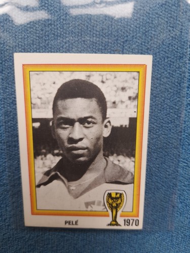 Panini fifa wold - fifa,