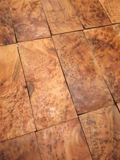 1 x legno di radica Thuja