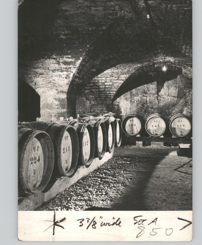 Bottiglie vino moody - in,