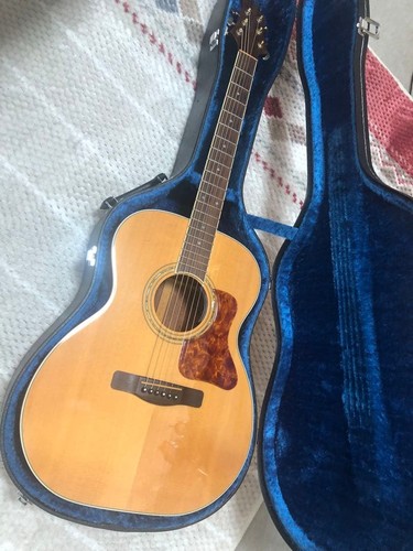 Chitarra acustica greg - chitarra,