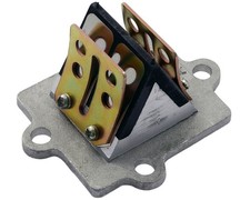 Blocco membrana 2T 50cc
