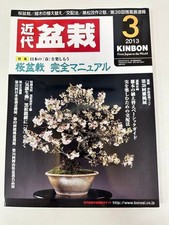 Modern bonsai march - march, 2013