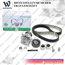 KIT CINGHIA DENTATA ININA per