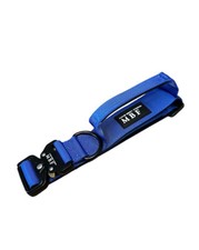 Set collare e guinzaglio per