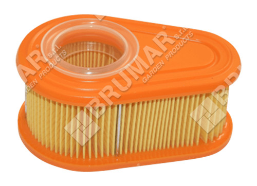 Filtro aria per motori - , briggs