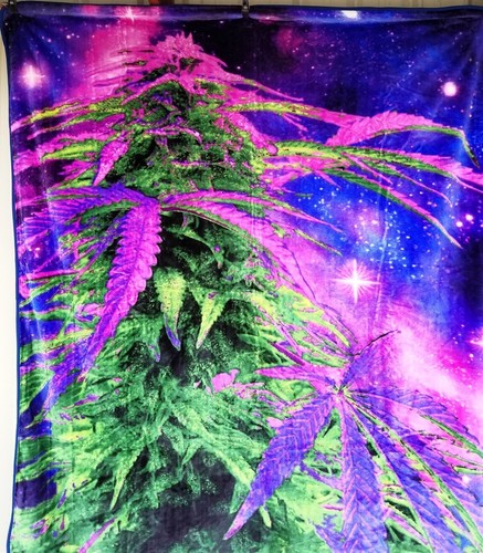 Foglie marijuana erba - foglie,