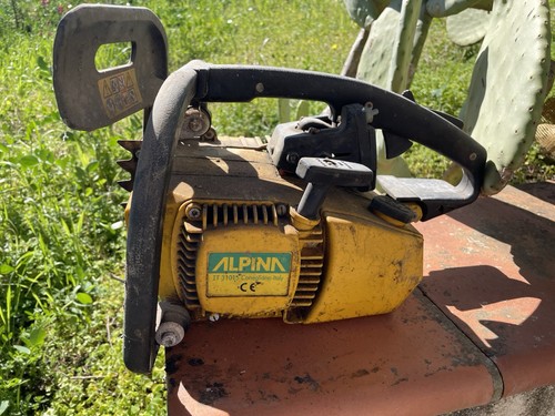 Motosega professionale alpina - professionale,