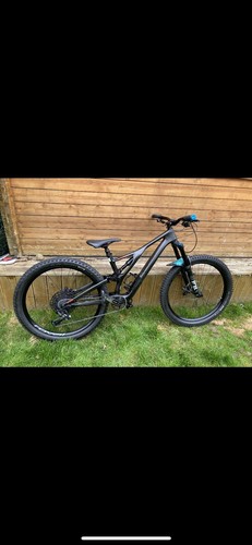 Mountain bike - mountain,
