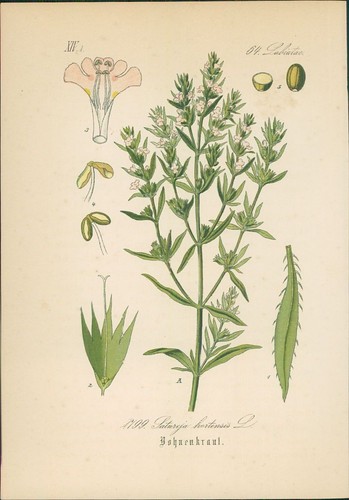 Chromolithographie - ,