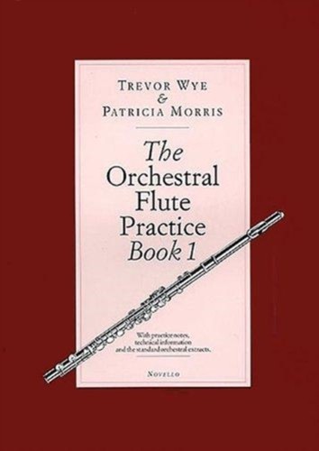 The orchestral flute practice - orchestral,