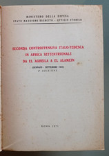Seconda controffensiva italo -