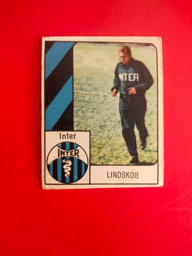 Lindskog figurina cartonata - lindskog,