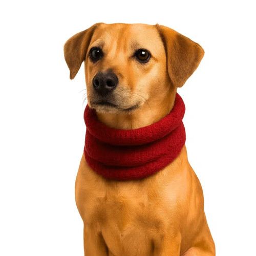 Scalda collo per cani - scalda, colore