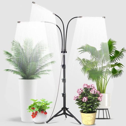 Luce coltivazione con - luce,