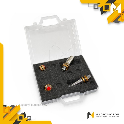 Kit pistoni forcella moto