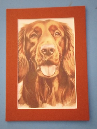 Quadro ritratto stampa - , x