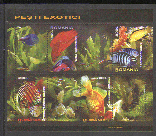 Romania 2005 pesce - romania,
