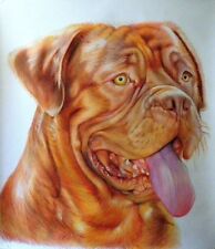 Ritratto portrait di DOGUE DE BORDEAUX (dog) - Matite colorate cm. 65 x 75