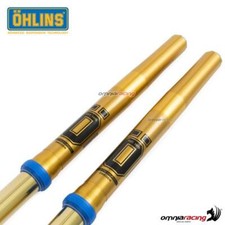 Ohlins Forcella RXF48S KTM