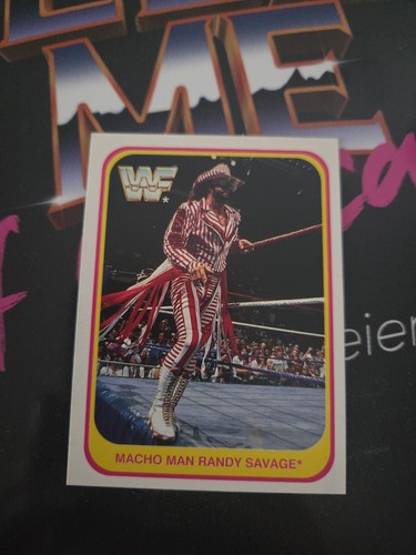 Merlin wwe wwf - man, randy