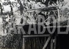 Foto vintage Animali, Piccioni, caccia al piccione, 1949, stampa 18 x 13 cm