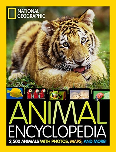 National geographic animal - geographic,