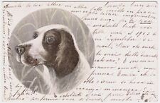 Cane da caccia  segugio - illustratori