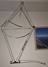 Telaio e forcella bici pista