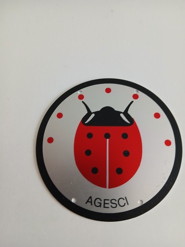 Agesci ladybugs plate - agesci,