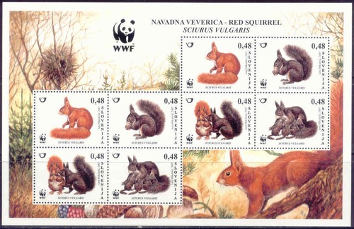 Wwf slovenia 2007 scoiattoli - wwf,