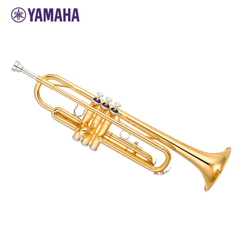Yamaha student model - student,