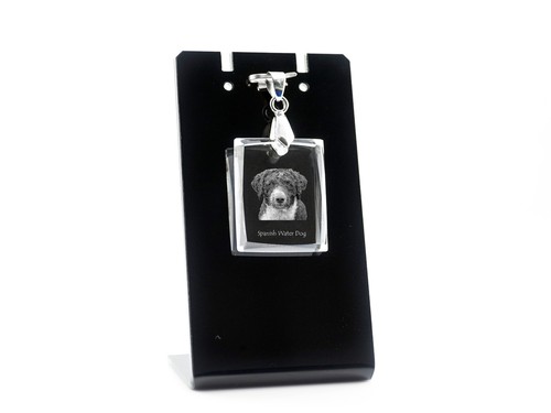Collana con pendente cristallo - collana,