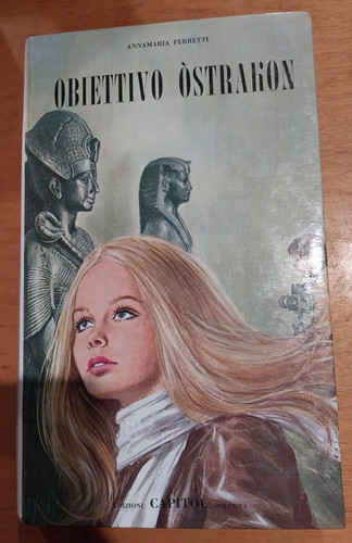 Libro romanzo obiettivo - libro,