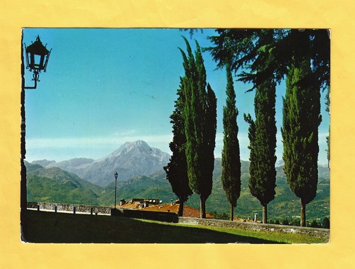 Barga pania vista - barga, la