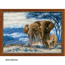 Set di punti croce Riolis