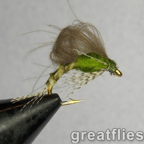 Dozzina cdc loop wing - 1,